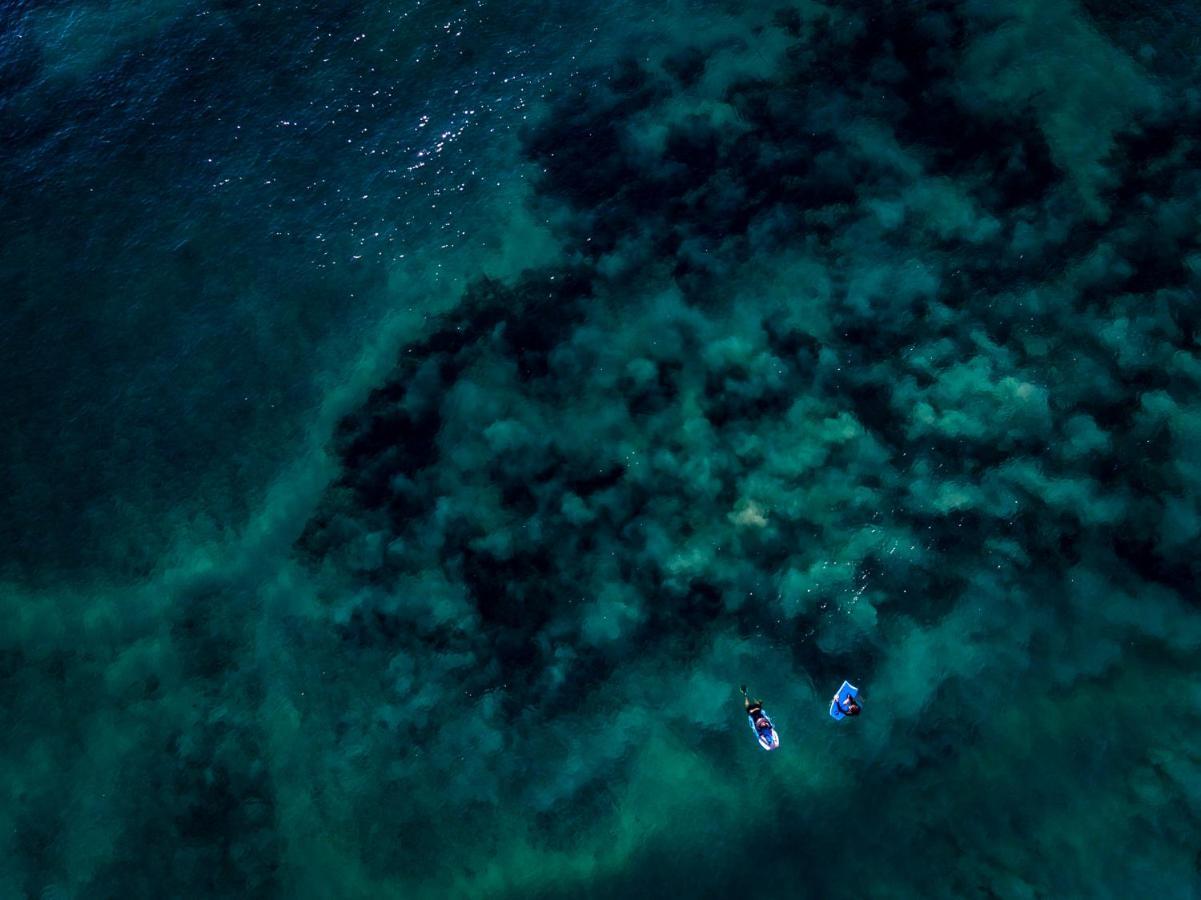 Sava Dunes Miramar Kültér fotó